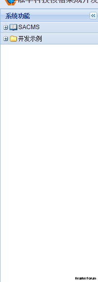 只显示了项目和开发示例