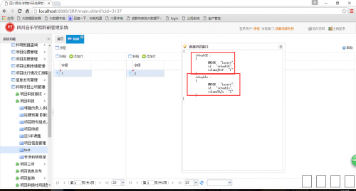 showJson